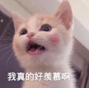 DƬ